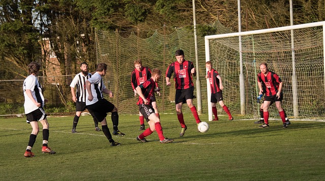 之间的情感 之间的情感