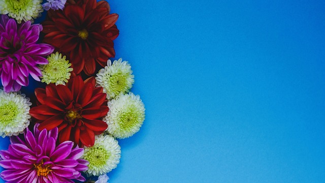 格林时常充 格林时常充