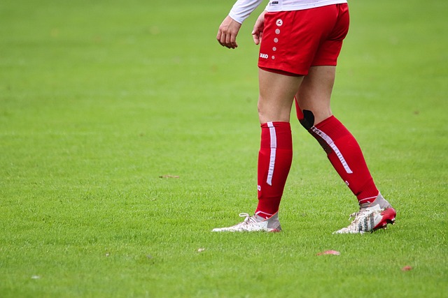 而东契奇作 而东契奇作