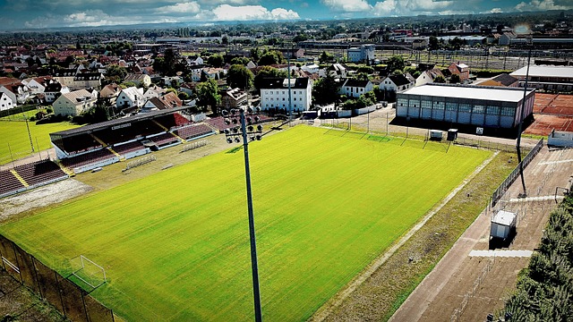 新奥尔良鹈 新奥尔良鹈