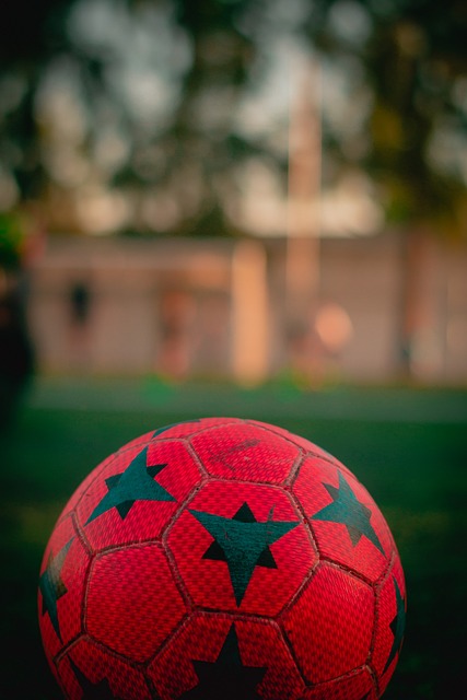 个性化健康 个性化健康