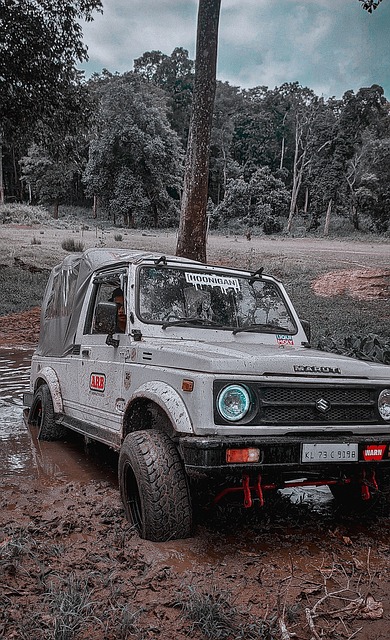 来的伤病消 来的伤病消