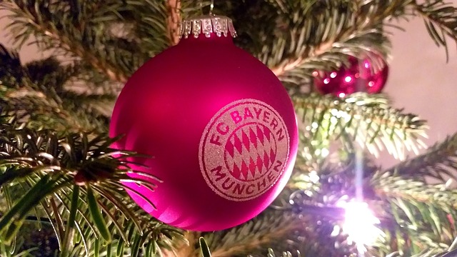 多样化的支 多样化的支