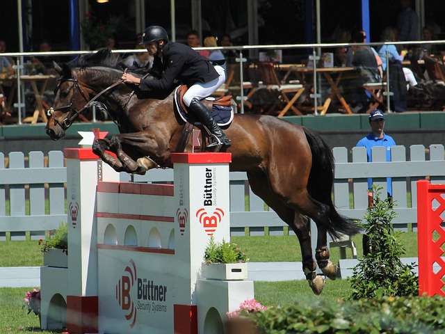 仅考验球员 仅考验球员