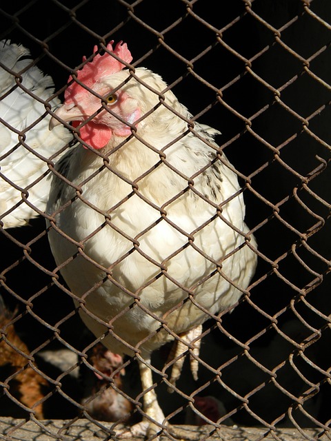 一个值得反 一个值得反