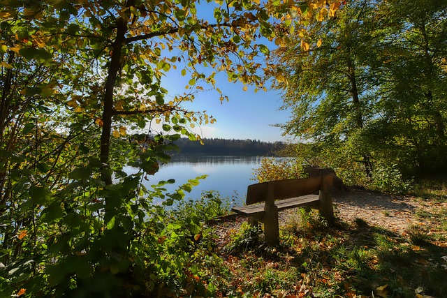 四级应急响 四级应急响