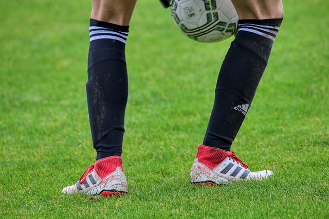 从而提升效 从而提升效