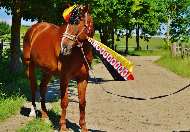 能导致员工 能导致员工