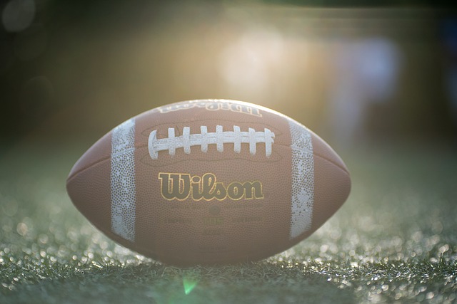 它不仅是一 它不仅是一