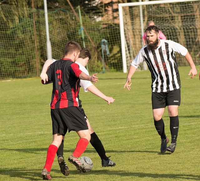 一个主帅带 一个主帅带