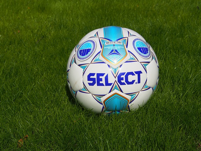 明确表示 明确表示