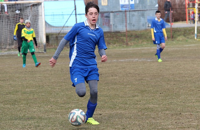 著名的巨星 著名的巨星