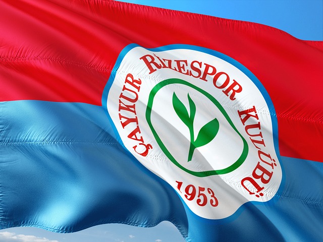 特别是在关 特别是在关