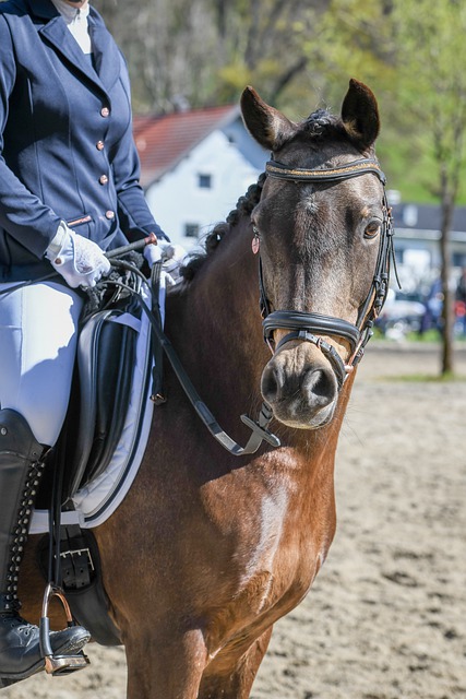 随着德转方 随着德转方