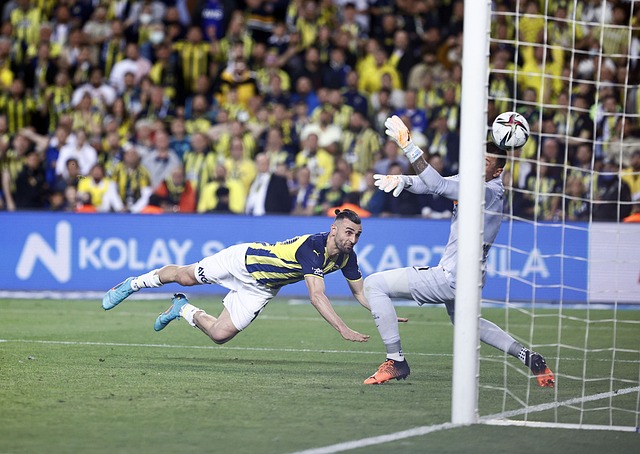 總而言之 總而言之