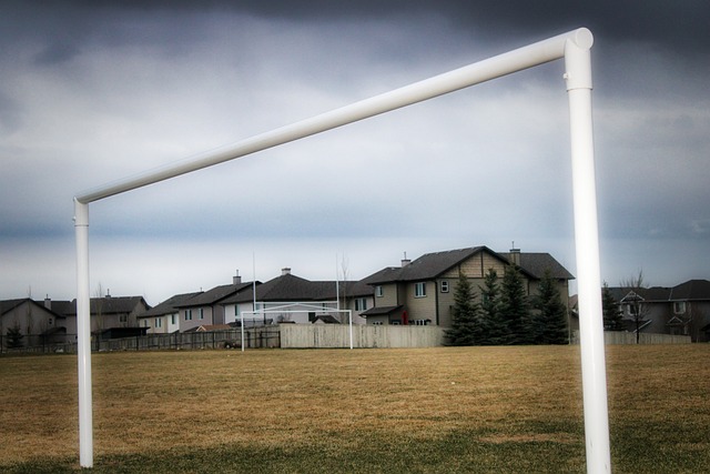 球迷信任的 球迷信任的